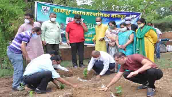 नागपूर महानगरपालिका 75 ऑक्सिजन उद्यान विकसित करणार, महापौरांच्या हस्ते उपक्रमाला सुरुवात