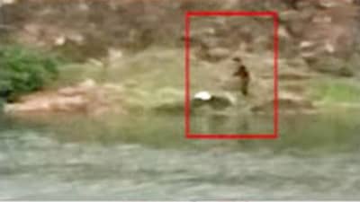 एक फोन आला, बापाची नजर हटली, तीन मुलं वाहून गेली, लुशीचं काय झालं? सांगली हादरली