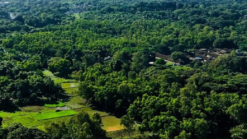 मायानगरी मुंबईत विस्तीर्ण जंगल फुलणार, आरेकडून वन विभागाला 812 एकर जमिनीचा ताबा