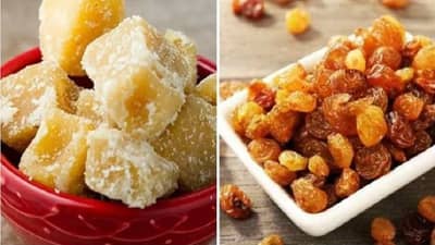 Weight Loss : मनुके आणि गूळ वजन कमी करण्यासाठी जबरदस्त फायदेशीर, वाचा !