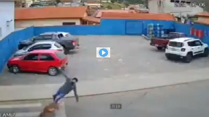 Video | गाडी पार्क करुन ऐटीत निघाला, मध्येच कुत्र्याने एन्ट्री केली अन् भलतंच घडलं, व्हिडीओ एकदा पाहाच