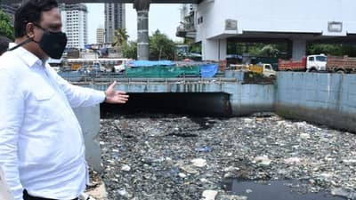 आशिष शेलार म्हणाले, गेला गाळ कुणीकडे?; पालिकेने केला हा दावा, दिली आकडेवारी!