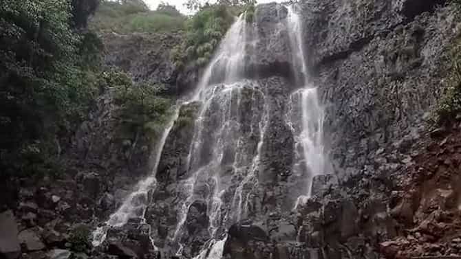 लोकहो, ठाणे जिल्ह्यातील कोणत्याही धबधबा, तलाव किंवा धरण परिसरात जाऊ नका, अन्यथा.....
