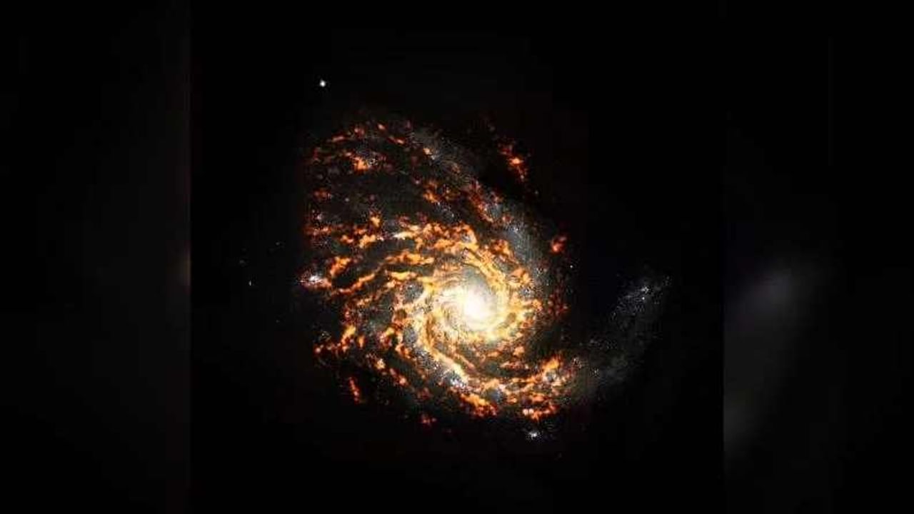 अंतराळवीरांनी ब्रह्मांडातील ताऱ्यांच्या नर्सरीचा सुंदर नकाशा टिपला आहे (Universe Stellar Nurseries). या ठिकाणी अनेक नव्या ताऱ्यांचा जन्म होतो. (Photo Credit-ALMA)