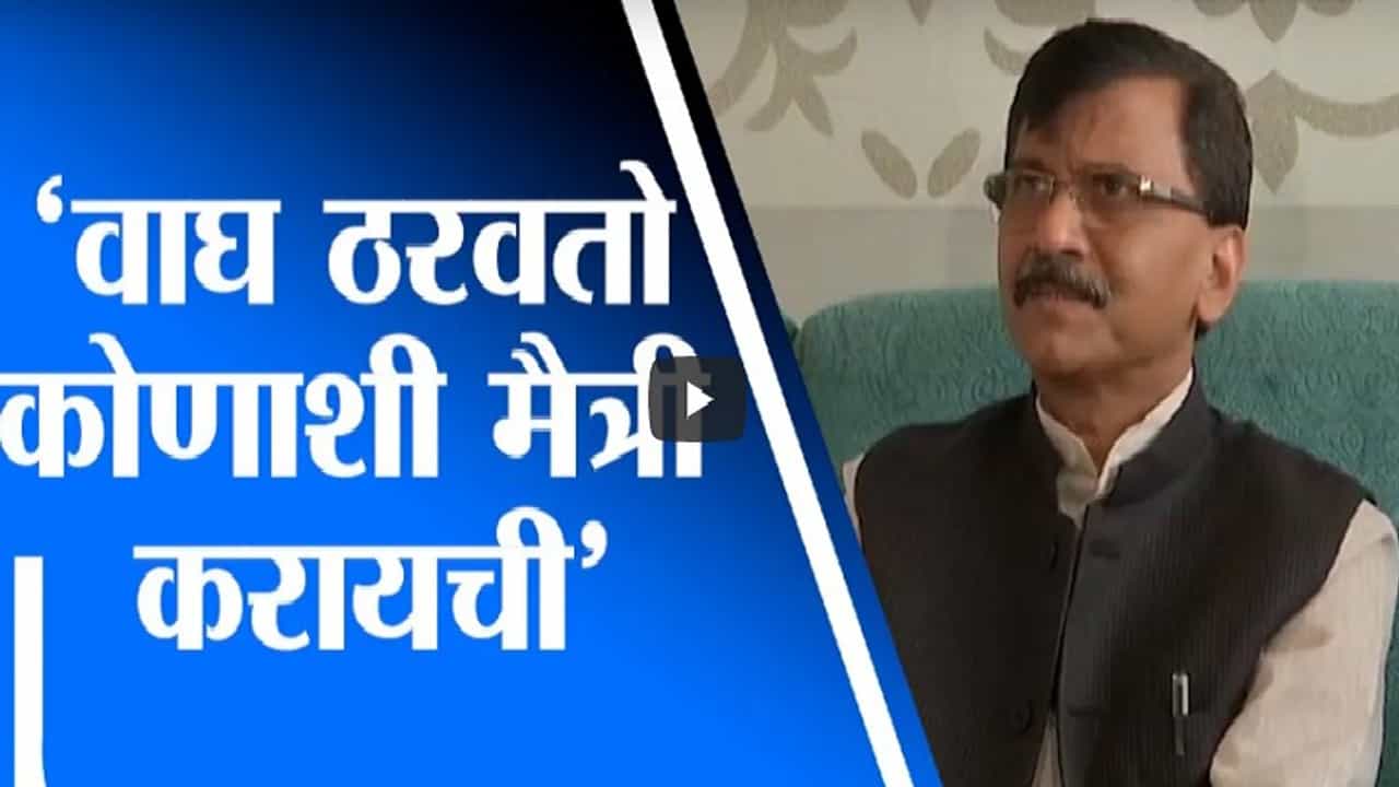 वाघाशी मैत्री होत नाही, वाघ ठरवतो कुणाशी मैत्री करायची, संजय राऊतांचं चंद्रकांत पाटलांना उत्तर
