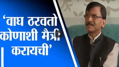 वाघाशी मैत्री होत नाही, वाघ ठरवतो कुणाशी मैत्री करायची, संजय राऊतांचं चंद्रकांत पाटलांना उत्तर