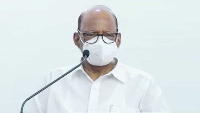 VIDEO: विधानसभा, लोकसभाही महाविकास आघाडी एकत्रित लढणार?; शरद पवारांचं मोठं विधान, वाचा सविस्तर
