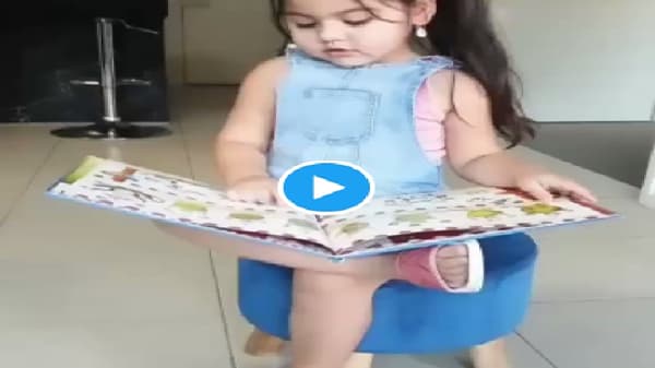 Video | या जगात सर्वात जास्त नशा कशामध्ये आहे ? मुलीने दिले हे उत्तर, व्हिडीओ एकदा पाहाच