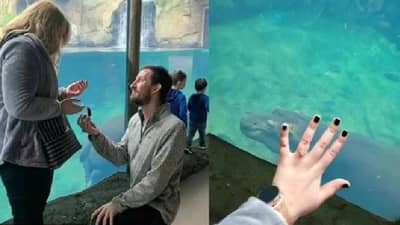 Viral | लग्नाची मागणी घालण्यासाठी वापरली ही खास ट्रिक, तरुणीचाही लगेच होकार, फोटो व्हायरल