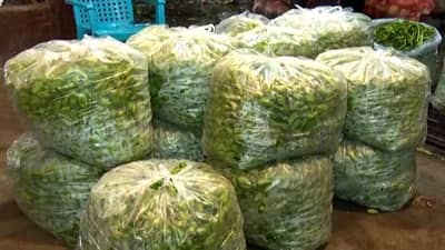 महाराष्ट्रात पावसाची जोरदार बॅटिंग, नवी मुंबई एपीएमसी भाजी मार्केटला फटका, भाजीपाल्याचे दर 10 ते 15 टक्क्यांनी घसरले