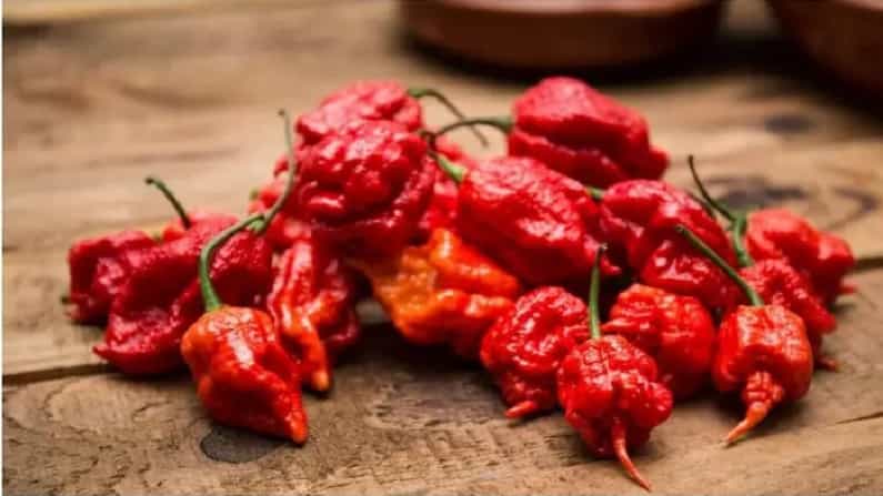 कॅरोलिना रीपर - ही जगातील सर्वात तिखट मिरची आहे. रिपोर्ट्सनुसार, ही मिरचा सर्वातप्रथम दक्षिण कॅरोलिनामध्ये आढळली होती, म्हणून या मिरचीचे नाव कॅरोलिना रीपर आहे.