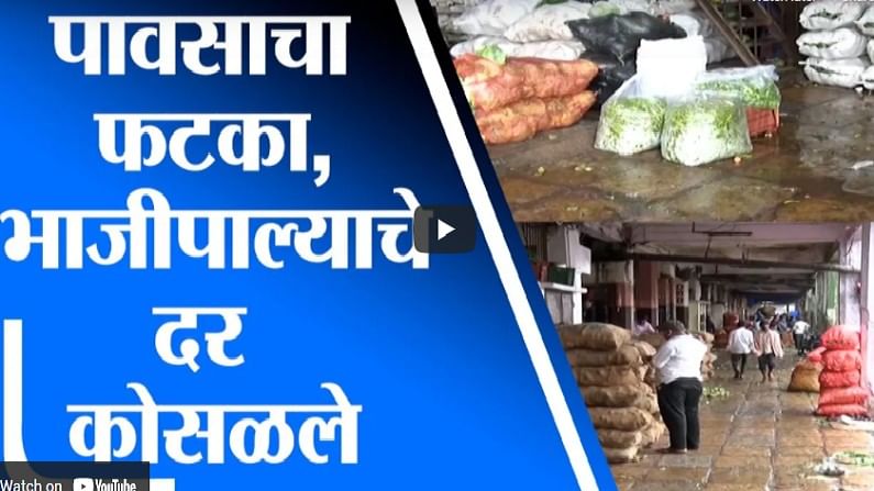 Vegetable Rate | पावसामुळे Navi Mumbai APMC मध्ये भाजीपाला पडून, दर 10 ते 15 टक्क्यांनी घसरले
