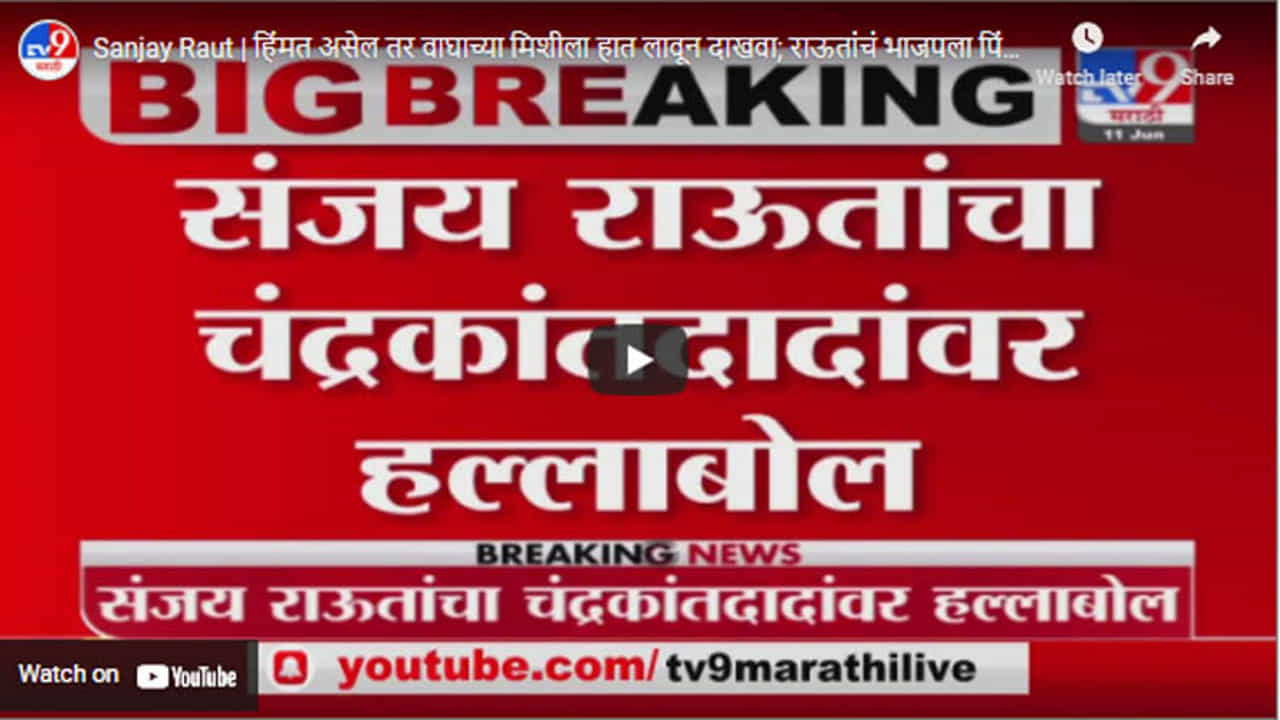 Sanjay Raut | हिंमत असेल तर वाघाच्या मिशीला हात लावून दाखवा; राऊतांचं भाजपला पिंजऱ्यात येण्याचं आवतन