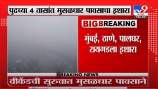 Sangali | एकाच झाडावर 22 जातीच्या आंब्याचे उत्पादन, सांगलीतील शेतकऱ्याचा यशस्वी प्रयोग