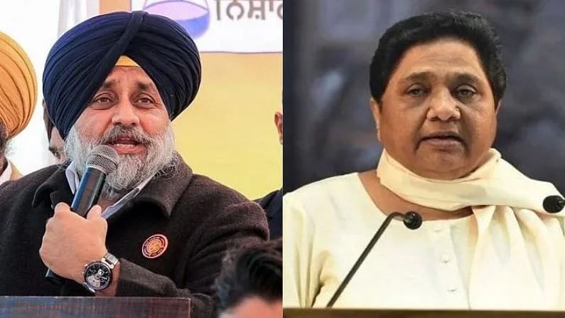 Punjab Election 2022: अकाली दल आणि बसपाची आघाडी, 25 वर्षानंतर एकत्र; पंजाबमध्ये काँग्रेसच्या सत्तेला मोठं आव्हान!