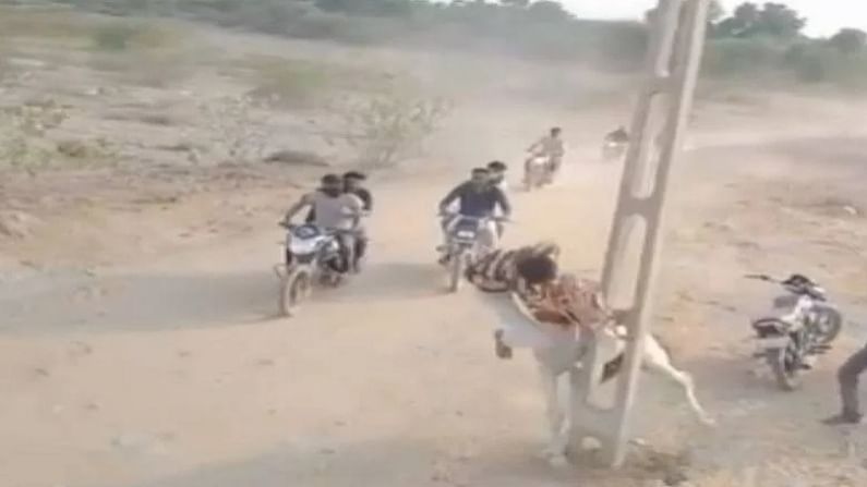 Viral Video : घोडेस्वारी पडली महाग, खांबाला टक्कर लागली आणि घडलं असंकाही...