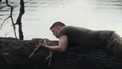 Video : बुडणाऱ्या हरणाच्या पाडसाला सैनिकाकडून जीवनदान, व्हायरल व्हिडीओने जिंकली सर्वांचीच मनं