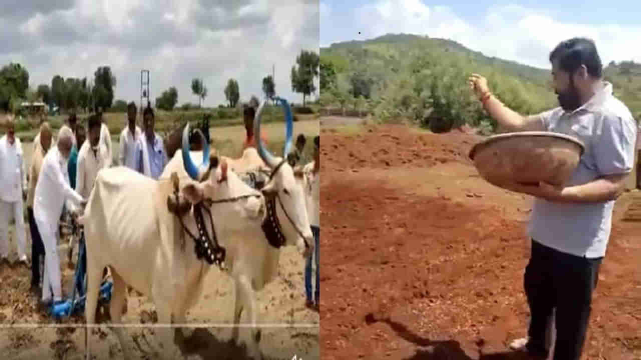 Video : कृषीमंत्री दादा भुसेंनी धरली चाड्यावर मूठ, तर नगरविकासमंत्री एकनाथ शिंदेंनीही केली पेरणी!