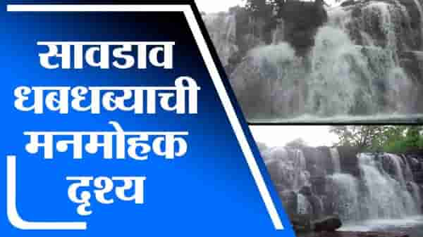 VIDEO | निसर्ग बहरला, कणकवलीतील सावडाव धबधबा प्रवाहित