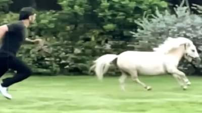 Video : धोनीने लावली घोड्यासोबत शर्यत, पत्नी साक्षीने पोस्ट केलेला हा व्हिडीओ पाहाच