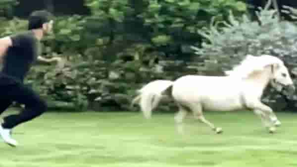 Video : धोनीने लावली घोड्यासोबत शर्यत, पत्नी साक्षीने पोस्ट केलेला हा व्हिडीओ पाहाच