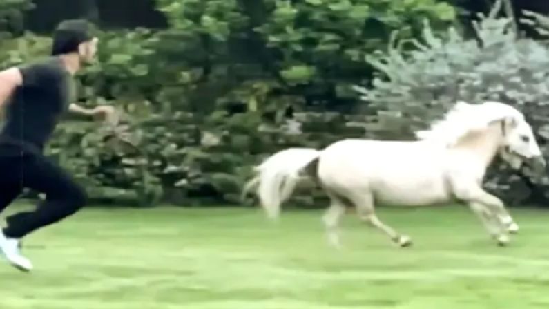Video : धोनीने लावली घोड्यासोबत शर्यत, पत्नी साक्षीने पोस्ट केलेला हा व्हिडीओ पाहाच
