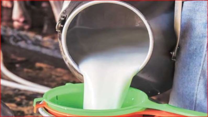 दूध दर व शेतकरी प्रश्नांसाठी 17 जूनला राज्यव्यापी आंदोलन