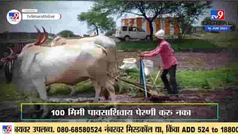 Agricultural advice | पेरणीआधी कृषी विभागाचा मोलाचा सल्ला, फायद्याची माहिती, नक्की पाहा Agricultural advice | पेरणीआधी कृषी विभागाचा मोलाचा सल्ला, फायद्याची माहिती, नक्की पाहा