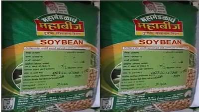 शेतकऱ्यांची पेरणीसाठी लगबग, महाबीजच्या सोयाबीन बियाण्याची कमतरता, बीडच्या परळीसाठी 450 बॅगा उपलब्ध