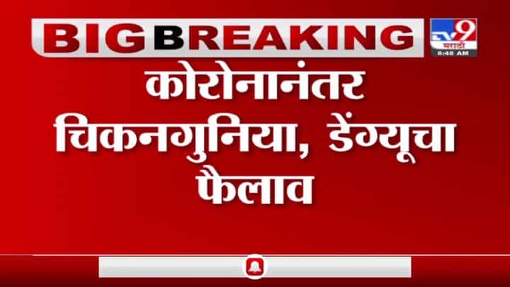 Nashik Breaking | नाशिकमध्ये कोरोनानंतर चिकनगुनिया, डेंग्यूचा प्रसार Nashik Breaking | नाशिकमध्ये कोरोनानंतर चिकनगुनिया, डेंग्यूचा प्रसार