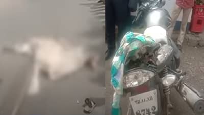 औरंगाबादेत भरधाव ट्रकने दुचाकीस्वाराला चिरडले, तरुणाचा अक्षरश: चेंदामेंदा, कुटुंबावर शोककळा