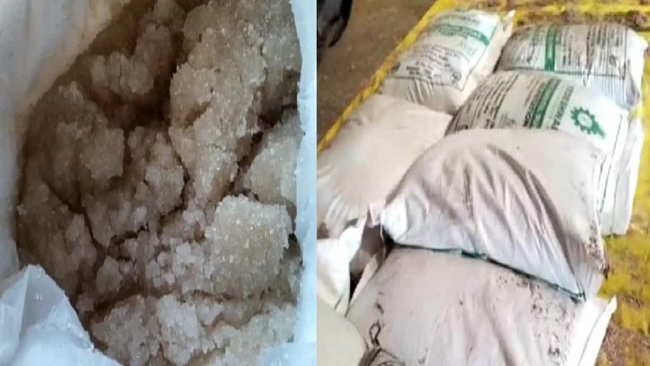 मुसळधार पावसाने गोदामातील 30 हजार साखरेची पोती भिजली, कोट्यवधी रुपयांचं नुकसान