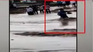 Video | मुसळधार पावसामुळे पूल पाण्याखाली, रस्ता ओलांडण्याच्या प्रयत्नात तरुणाने गमावला जीव, व्हिडीओ व्हायरल