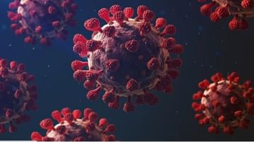 कोरोनाच्या डेल्टा प्लस व्हायरसपासून बचाव कसा करायचा ? लस प्रभावी आहे का? तज्ज्ञ काय म्हणतात?