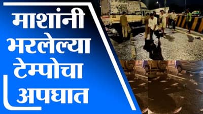 VIDEO | मुंबई एक्सप्रेस फ्री वेवर माशांनी भरलेला टेम्पो उलटला, मासे गोळा करण्यासाठी नागरिकांची गर्दी