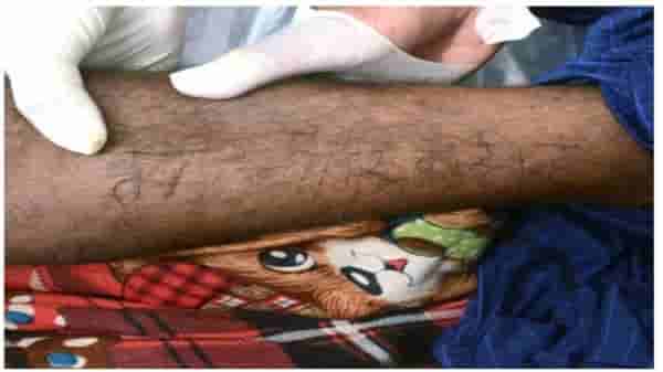 मैं चोर नहीं हूँ, त्या ट्रक चालकाच्या आत्महत्येला कोण जबाबदार?