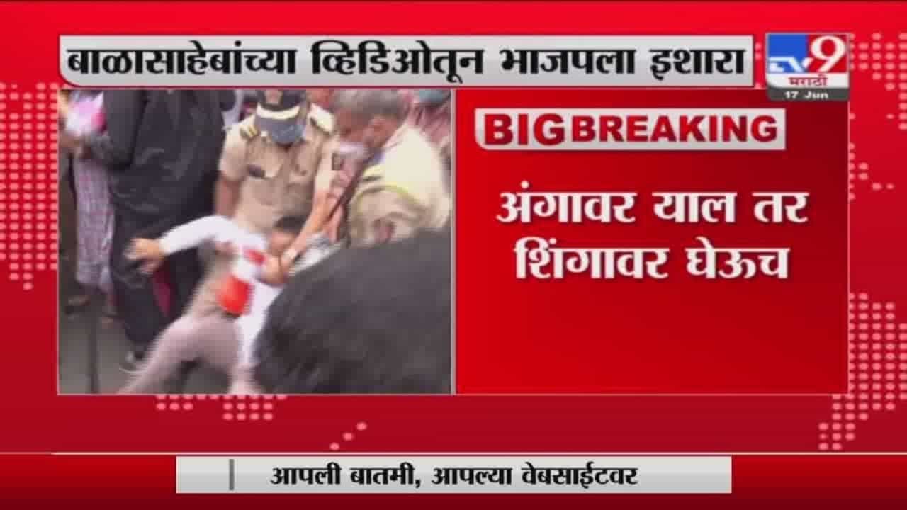 Kishori Pednekar| अंगावर याल तर शिंगावर घेऊ, बाळासाहेबांचा व्हिडीओ ट्विट करत महापौरांचा भाजपला इशारा