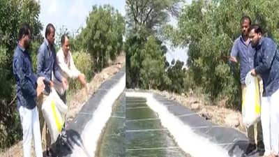 Video : लॉकडाऊनच्या काळात नोकरी गेली, पोरांनी थेट गाव गाठलं, मत्स्य शेतीतून 8 महिन्यात तब्बल 10 लाख रुपयांचं उत्पन्न!