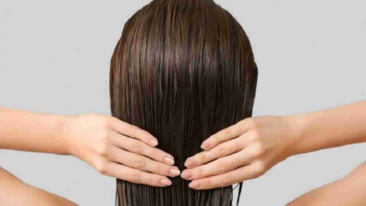 Hair Care Tips : पावसाळ्यात केसांची काळजी घेण्यासाठी या टिप्स फॉलो करा, वाचा !