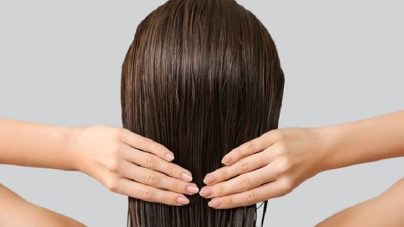 Hair Care Tips : पावसाळ्यात केसांची काळजी घेण्यासाठी 'या' टिप्स फॉलो करा, वाचा ! Hair Care Tips : पावसाळ्यात केसांची काळजी घेण्यासाठी 'या' टिप्स फॉलो करा, वाचा !