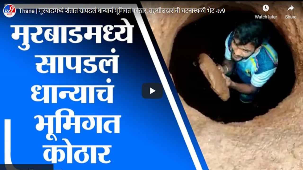 Thane | मुरबाडमध्ये शेतात सापडलं धान्याचं भूमिगत कोठार, तहसीलदारांची घटनास्थळी भेट Thane | मुरबाडमध्ये शेतात सापडलं धान्याचं भूमिगत कोठार, तहसीलदारांची घटनास्थळी भेट