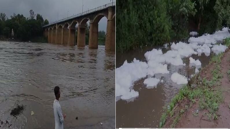 कृष्णा नदीच्या पाणीपातळीत वाढ, नागठाणे बंधारा पाण्याखाली; तर शेरीनाल्यातील दूषित पाण्यामुळे नदीपात्रात फेस