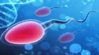 नातवंडे पाहण्याची आईला हौस, लेस्बियन मुलीला दिले थेट शुक्राणूंचे इंजेक्शन