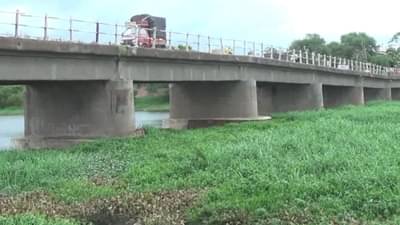 दक्षिणेकडील गंगा असलेली गोदावरी पानवेलीच्या विळख्यात, नागरिकांचे आरोग्य धोक्यात