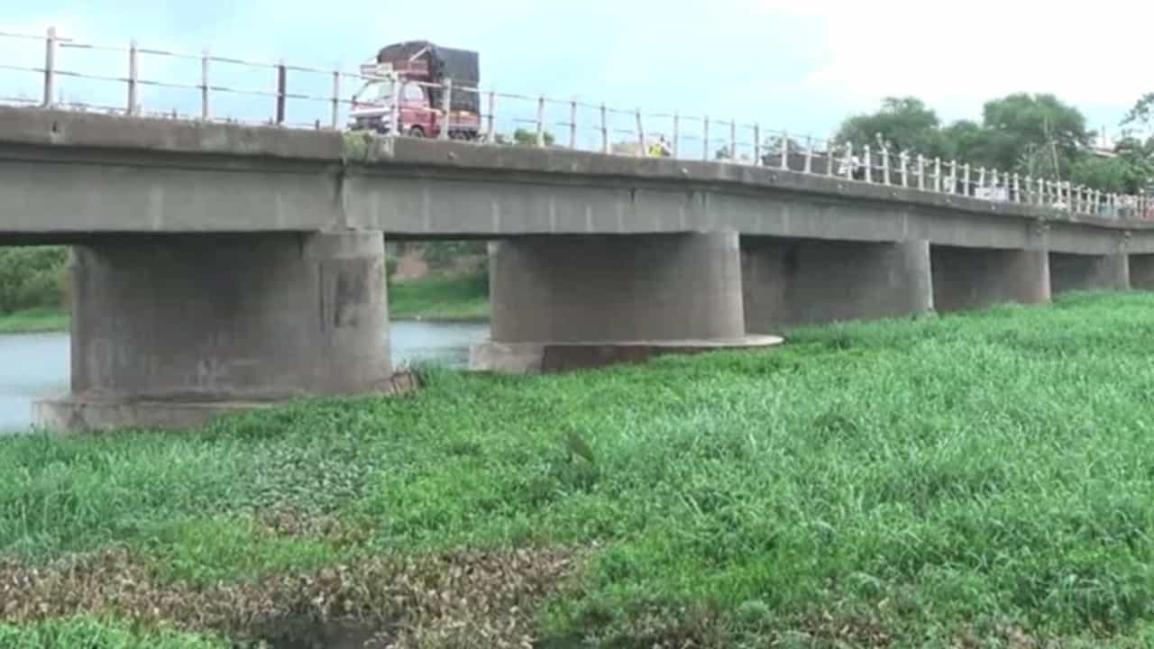 दक्षिणेकडील गंगा असलेली गोदावरी पानवेलीच्या विळख्यात, नागरिकांचे आरोग्य धोक्यात