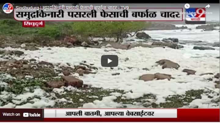 Sindhudurg | सुमद्रकिनारी पसरली फेसाची बर्फाळ चादर Sindhudurg | सुमद्रकिनारी पसरली फेसाची बर्फाळ चादर
