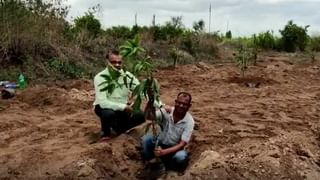 जनुकीय परावर्तीत बियाणांच्या बेकायदेशीर विक्रीवर कारवाई करा, महाराष्ट्रातील 70 संस्थांची मुख्यमंत्र्यांकडे मागणी