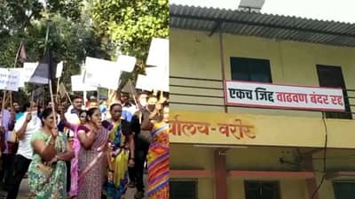 वाढवण बंदराच्या सर्वेक्षणाला स्थगिती, तज्ज्ञांची समिती स्थानिक नागरिकांशी संवाद साधणार