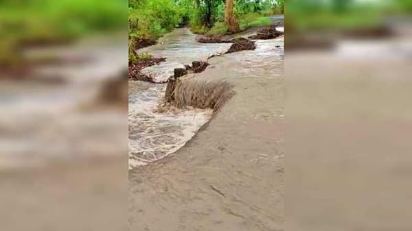 यवतमाळमध्ये दरवर्षी जीर्ण पुलामुळे संपर्क तुटतो, अखेर गावकऱ्यांची थेट राष्ट्रीय मानवाधिकार आयोगात धाव