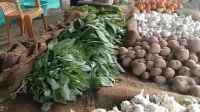 मेळघाटसारख्या अतिदुर्गम भागात पालेभाज्यांची लागवड, दीड एकर शेतीतून लाखो उत्पन्न